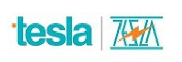 Tesla (label) Device mark 7379453 Trademark