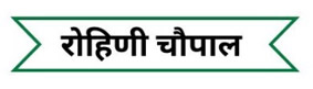 Rohini Choupal Device mark 7400307 Trademark