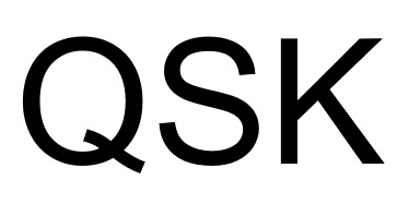 Qsk Device mark 7406743 Trademark