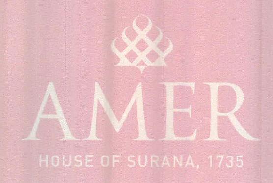 Amer (device Of Geo. Misc.) Device mark 2419927 Trademark