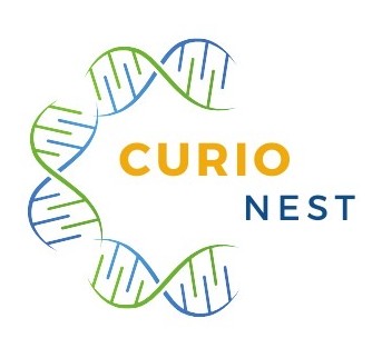 Curio Nest (logo And Device) Device mark 7423753 Trademark