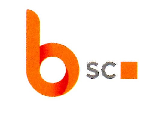 Bsc Device mark 7430356 Trademark