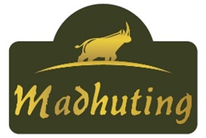 Madhuting Device mark 7460352 Trademark