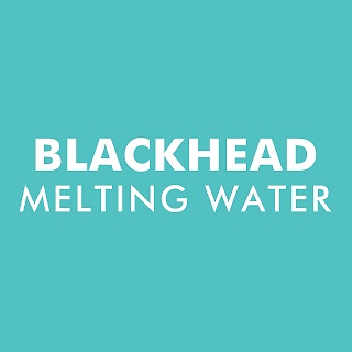 Blackhead Melting Water Device mark 7453696 Trademark