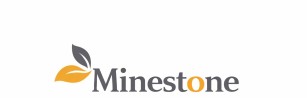 Minestone Device mark 7455274 Trademark