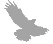 Device Device mark 7504599 Trademark