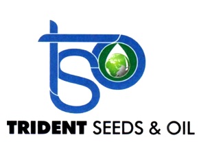 Trident Seeds & Oil Device mark 7520092 Trademark