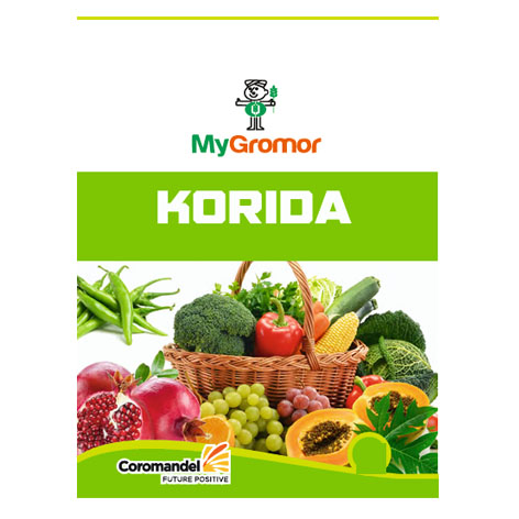 Korida Device mark 7517490 Trademark