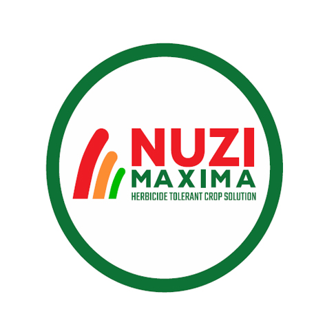 No Name Device mark 7530436 Trademark