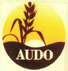 Audo Device mark 2956952 Trademark