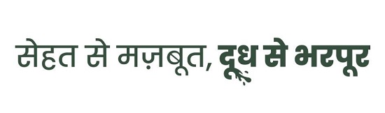 Sehat Se Majboot, Doodh Se Bharpoor (label In Hindi) Device mark 7565614 Trademark