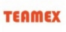 Teamex Device mark 7565701 Trademark