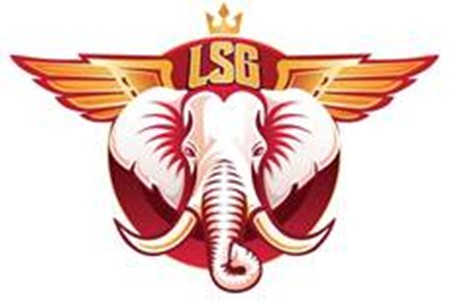 Lsg (label) Device mark 7564630 Trademark