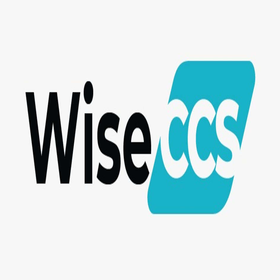 Wiseccs Device mark 7529052 Trademark