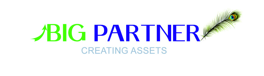 Big Partner Device mark 7534711 Trademark