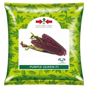 Logo Of East West Seed International With Purple Queen F1 Device mark 7579560 Trademark