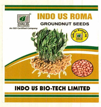 Indo Us Roma Device mark 7566001 Trademark