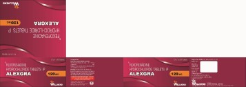Alexgra Device mark 7589874 Trademark