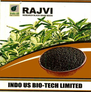 Indo Us Rajvi Device mark 7565990 Trademark