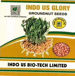 Indo Us Glory Device mark 7565997 Trademark