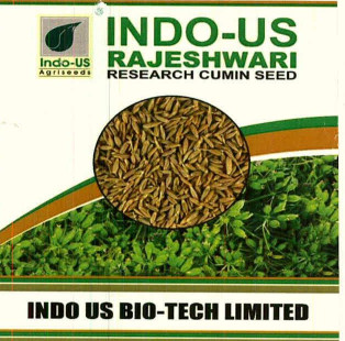 Indo Us Rajeshwari Device mark 7566015 Trademark