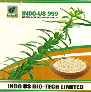 Indo Us 999 Device mark 7566026 Trademark