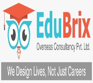 Edubrix Device mark 7594098 Trademark