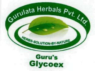 Guru's Glycoex Device mark 2386313 Trademark