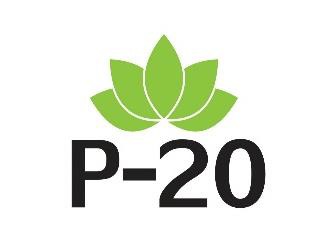 P-20 Device mark 7602884 Trademark