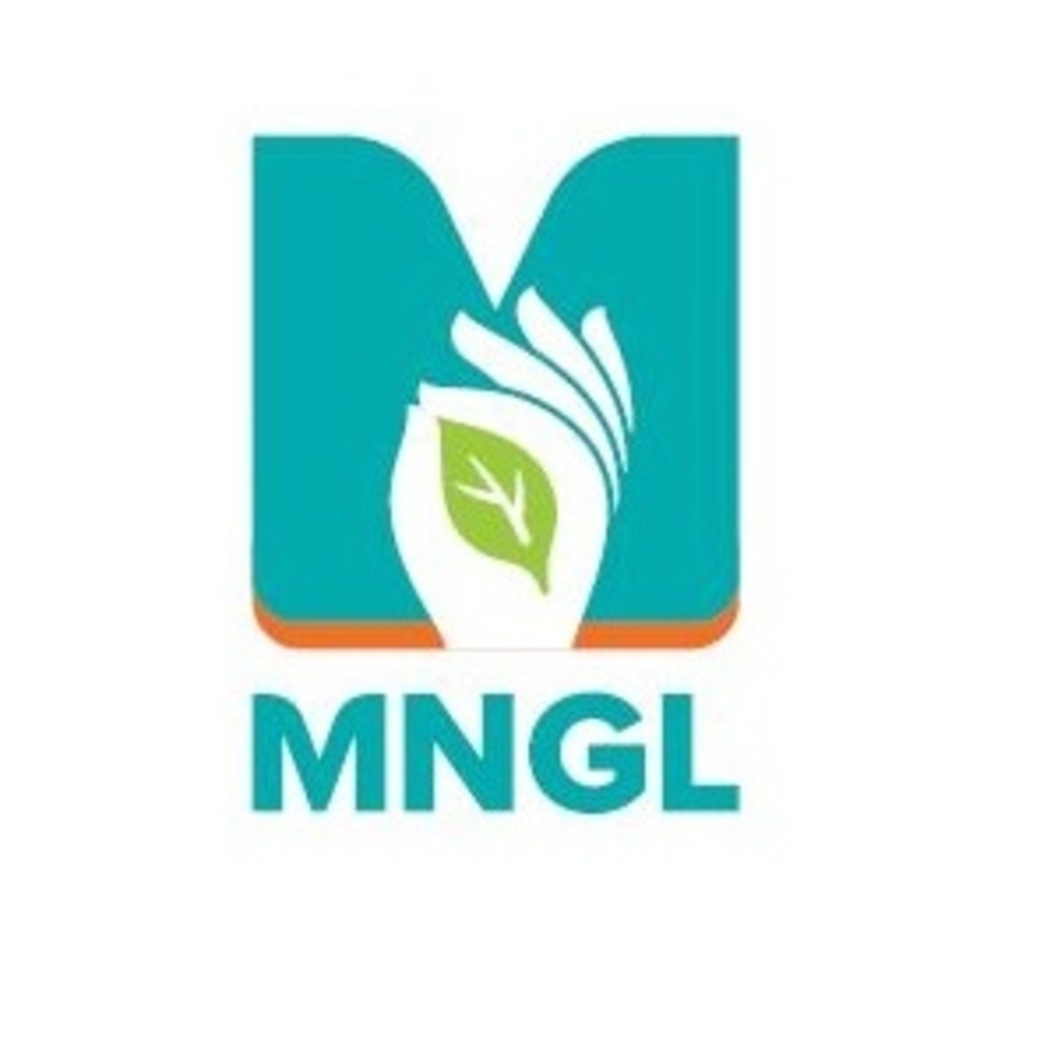 Mngl Device mark 7613346 Trademark