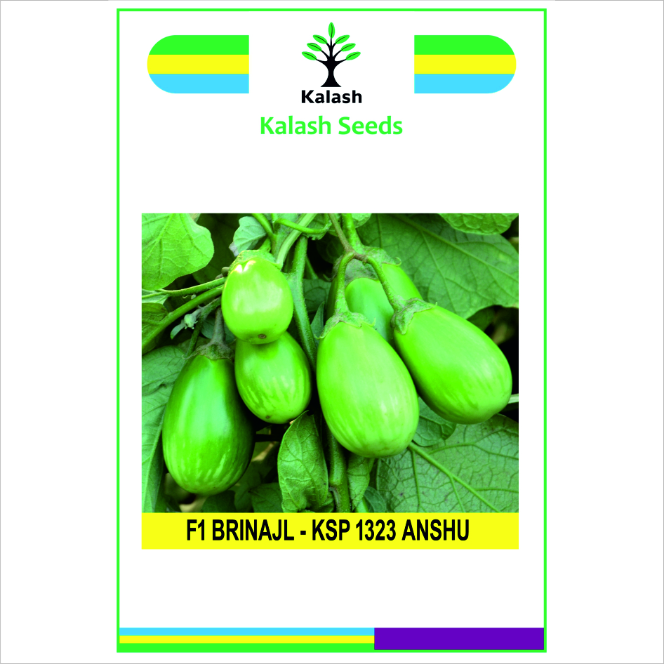 Ksp 1323 Anshu F1 Device mark 7614145 Trademark
