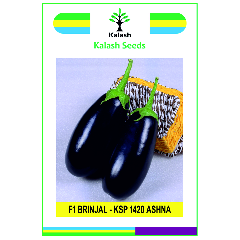 Ksp 142o Ashna F1 Device mark 7614146 Trademark