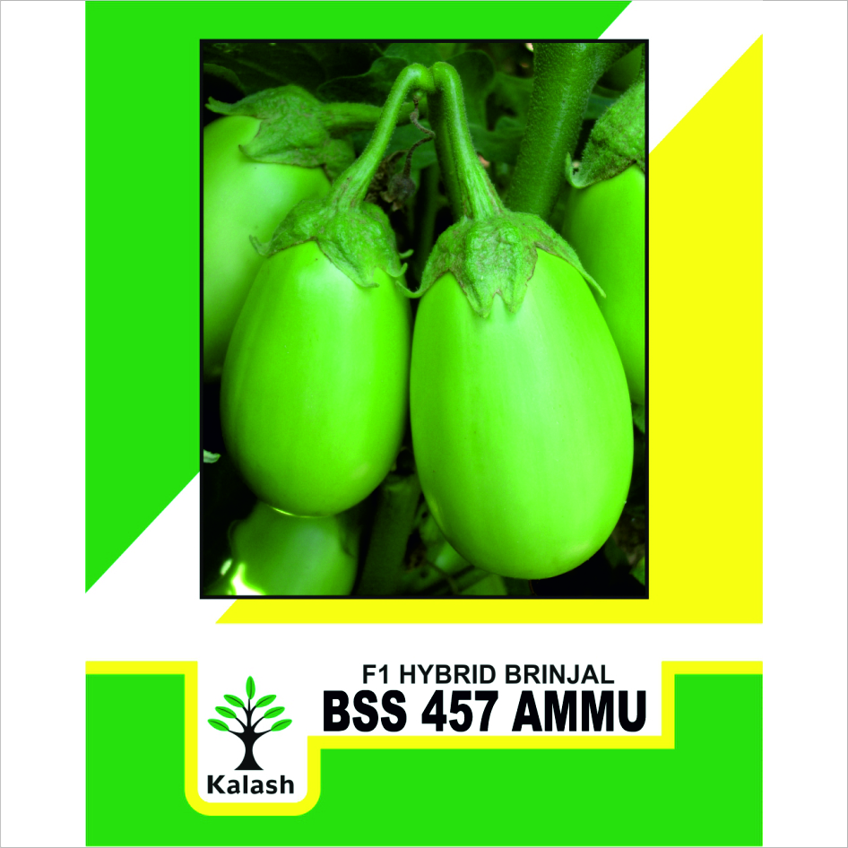 Bss 457 Ammu F1 Device mark 7614187 Trademark