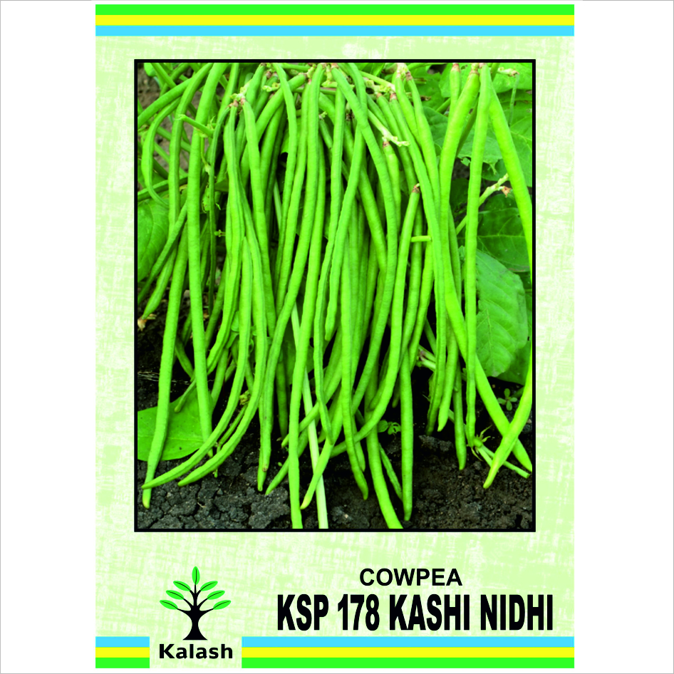 Ksp 178 Kashi Nidhi Device mark 7614280 Trademark