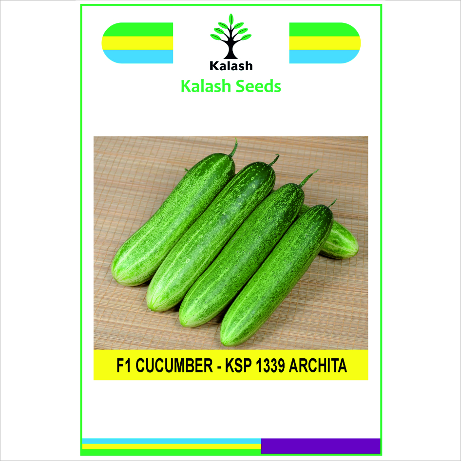 Ksp 1339 Archita F1 Device mark 7614283 Trademark