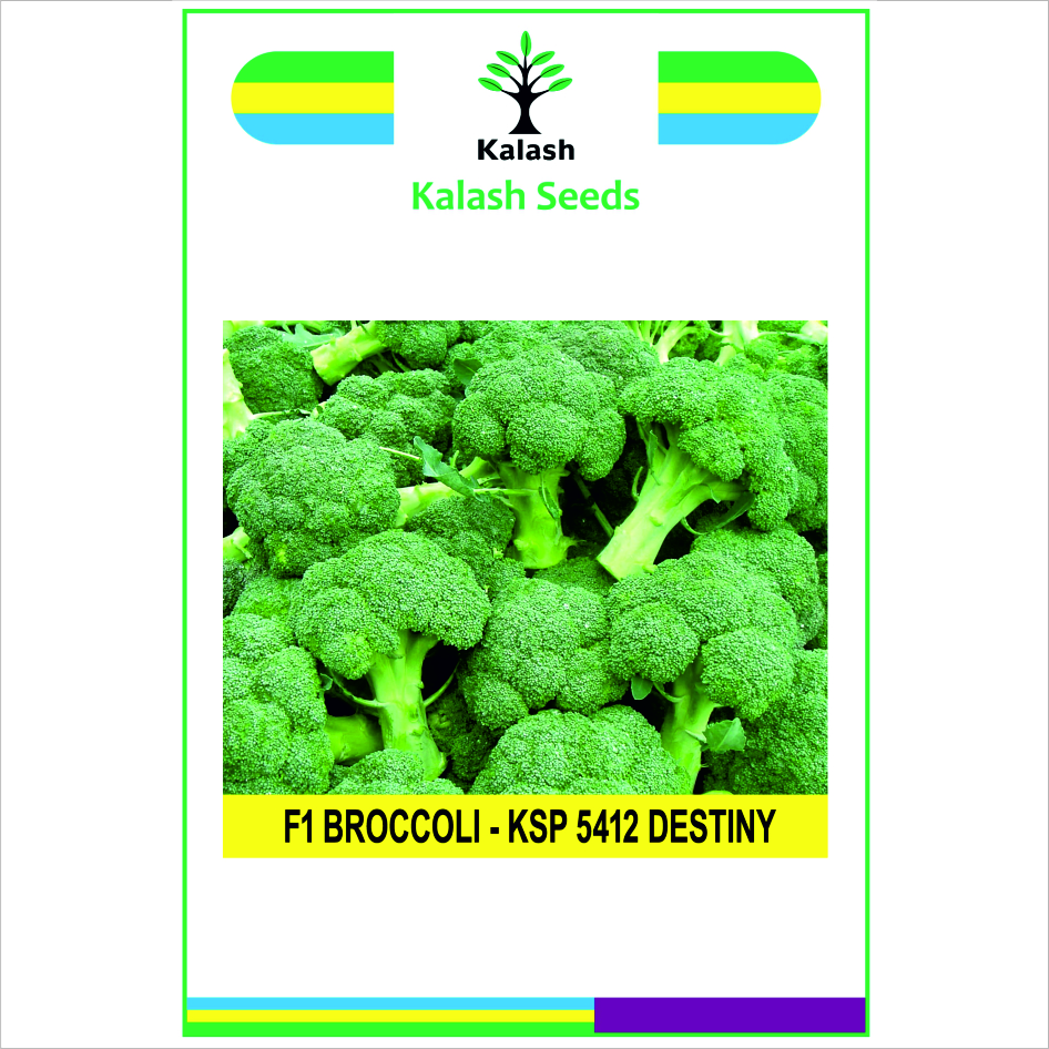 Broccoli Ksp 5412 Destiny Device mark 7614311 Trademark