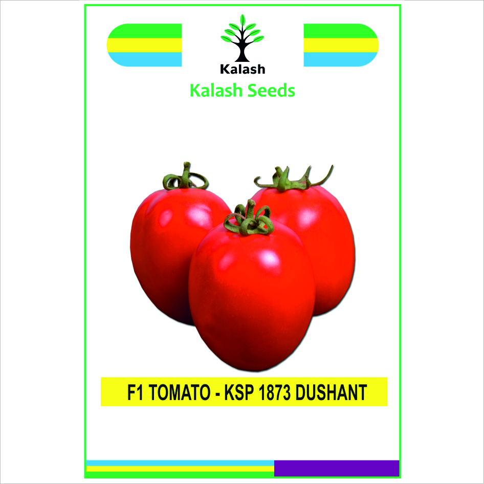 Ksp 1873 Dushant F1 Device mark 7614365 Trademark