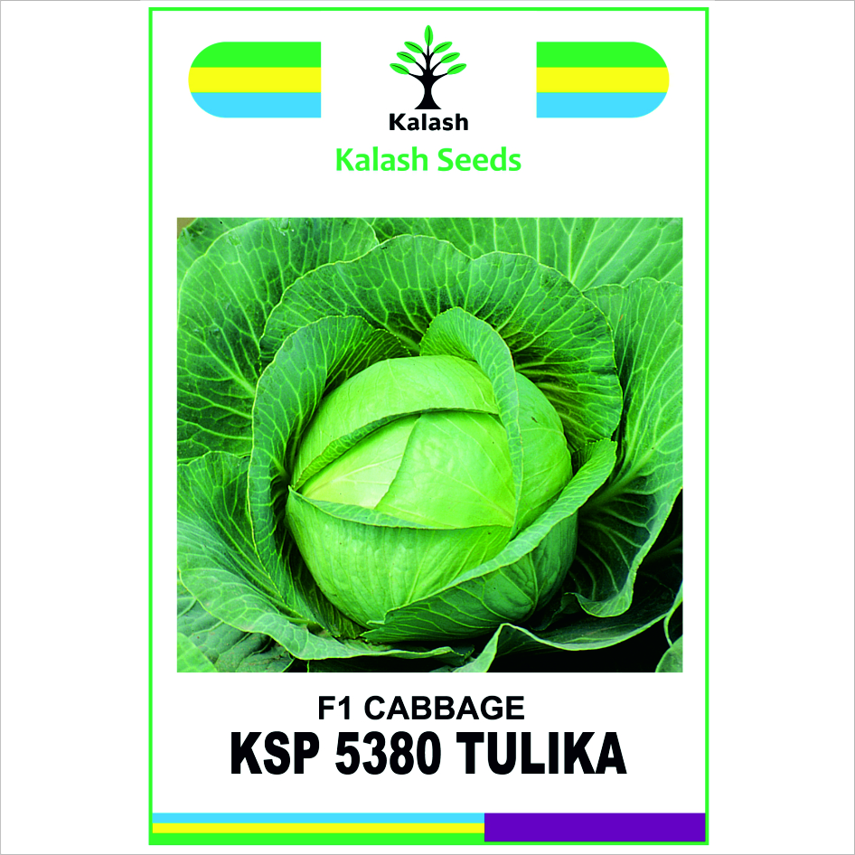 Ksp 5380 Tulika F1 Device mark 7614417 Trademark