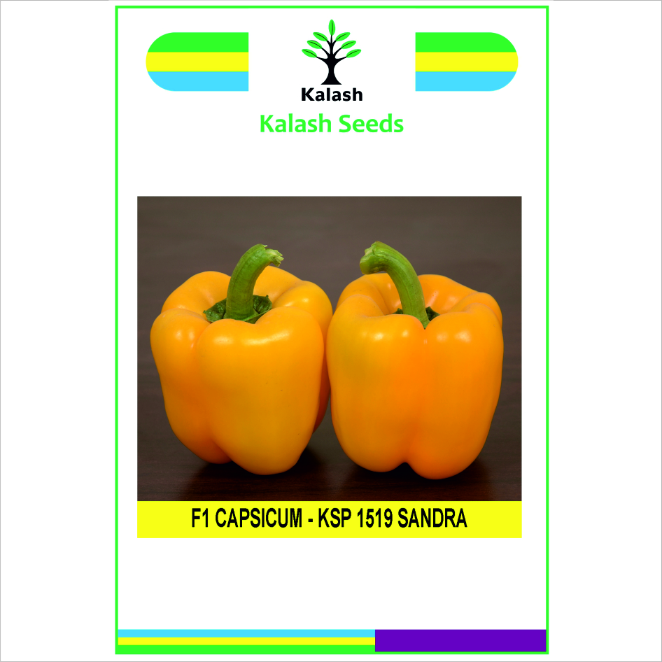 Ksp 1519 Sandra F1 Device mark 7614420 Trademark