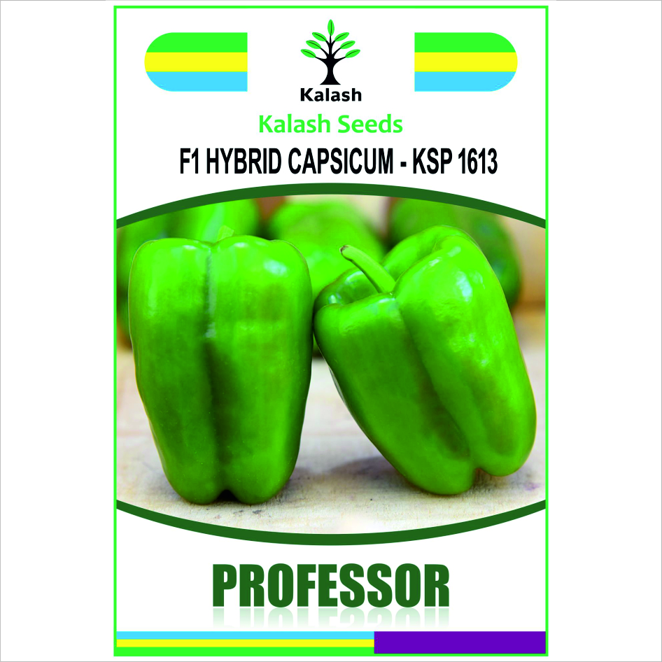 Ksp 1613 Professor F1 Device mark 7614421 Trademark