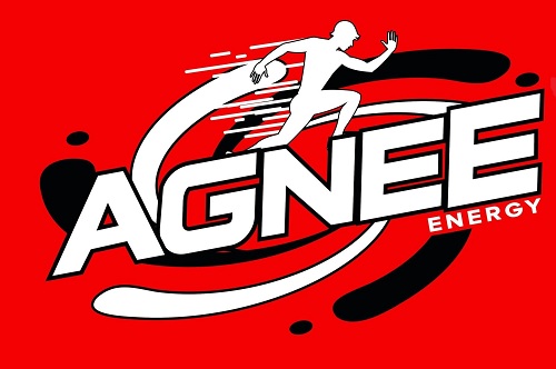 Agnee Device mark 7622146 Trademark