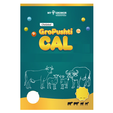 Gropushti Cal Device mark 7626926 Trademark