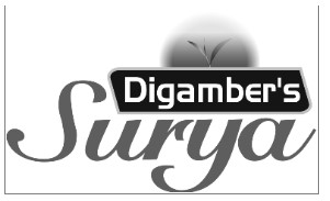 Digamber's Surya Device mark 7630247 Trademark