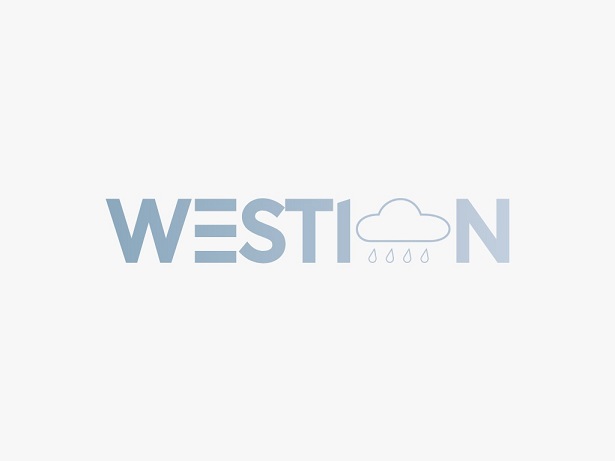 Westion Device mark 7645316 Trademark