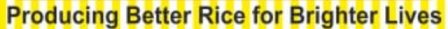 Producing Better Rice For Brighter Lives Device mark 7647204 Trademark