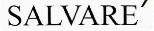 Salvare Device mark 2405988 Trademark
