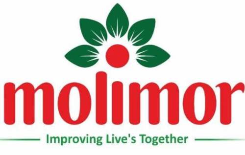 Molimor Device mark 7652642 Trademark
