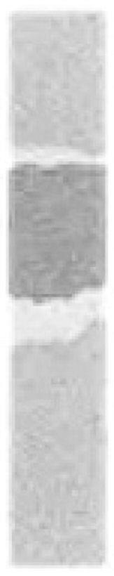 Device Device mark 7665493 Trademark