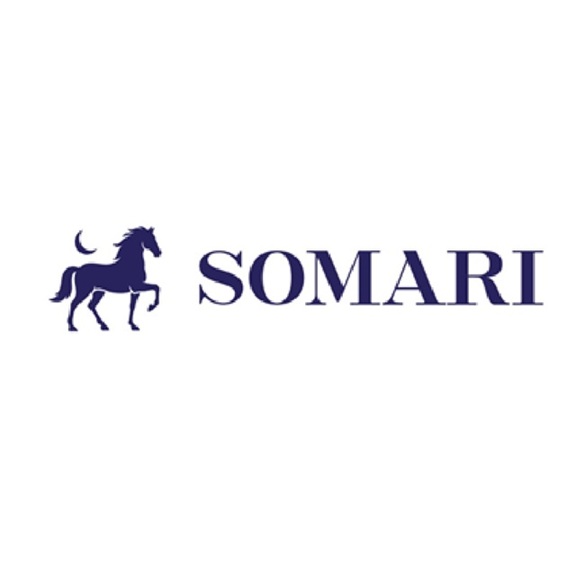 Somari (device) Device mark 7655332 Trademark