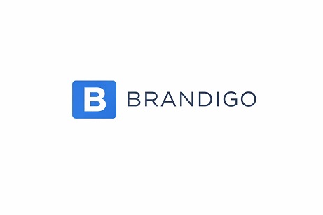 Brandigo Device mark 7696464 Trademark